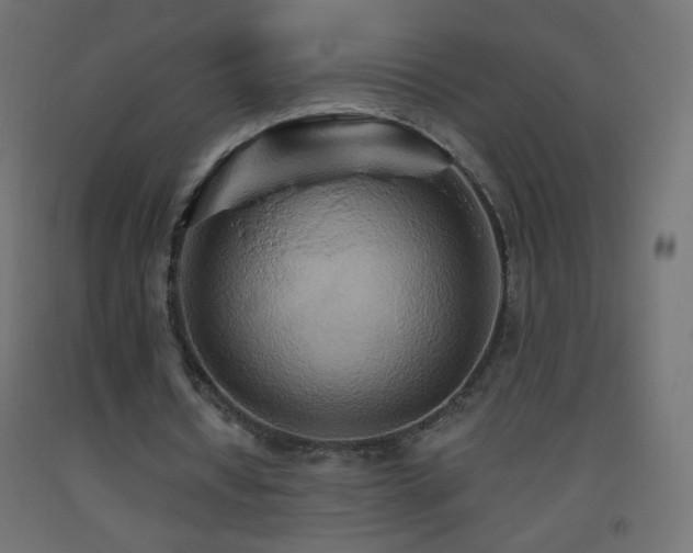 X0000093520434200710121548