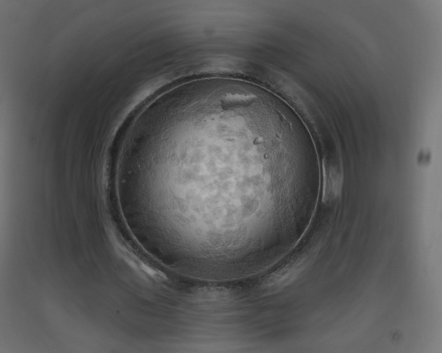 X0000093520435200710121548