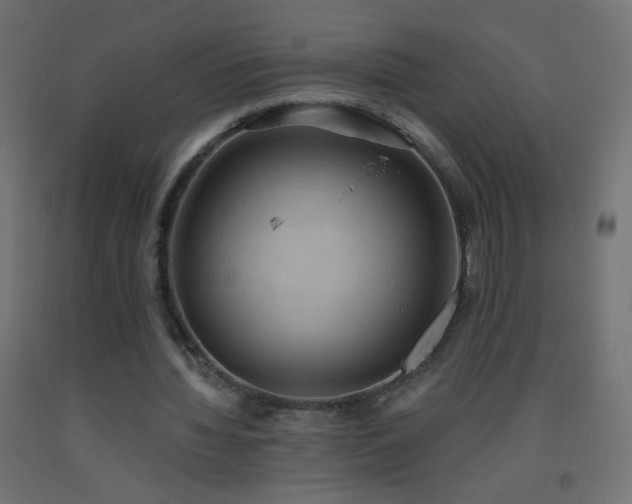 X0000093520436200710121548