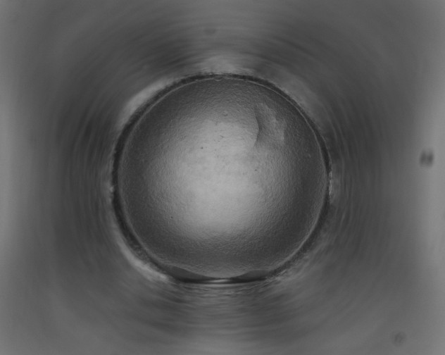 X0000093520438200710121548