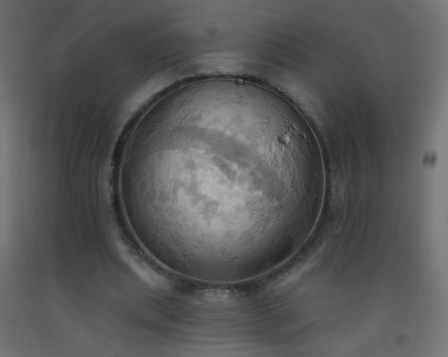 X0000093520439200710121548