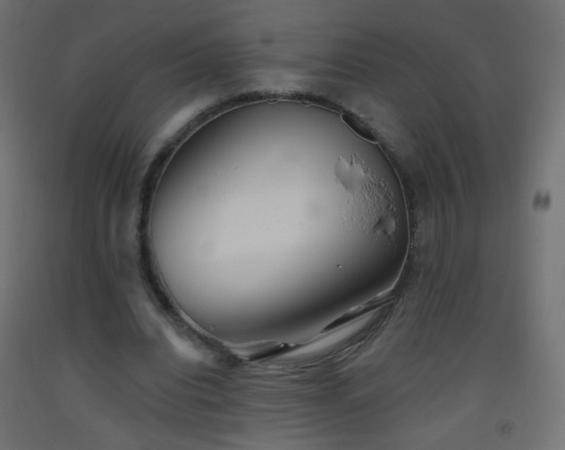 X0000093520440200710121548
