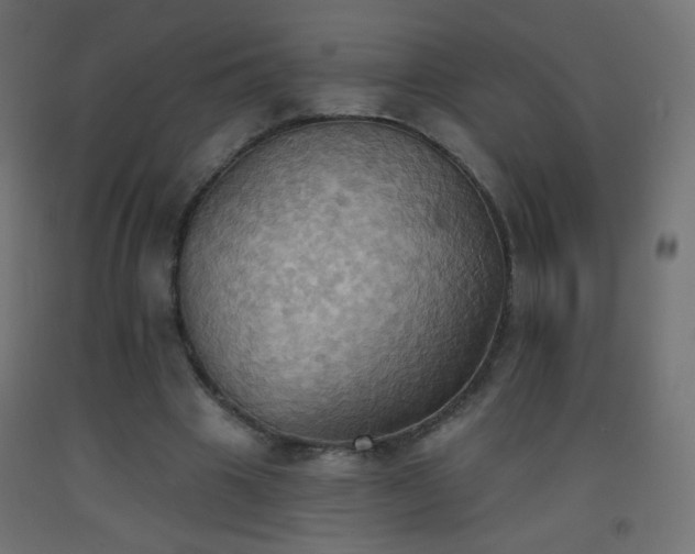X0000093520441200710121548
