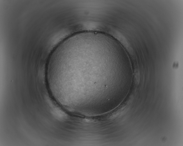 X0000093520442200710121548