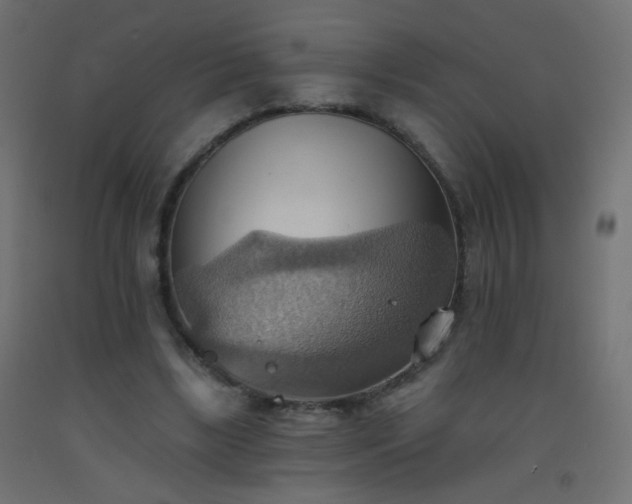 X0000093520443200710121548