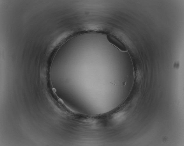 X0000093520444200710121548