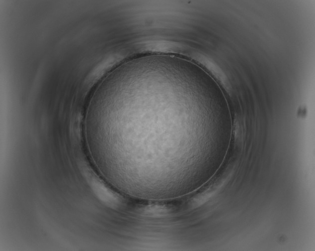 X0000093520445200710121548