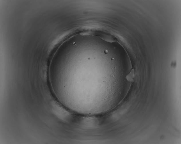 X0000093520446200710121548