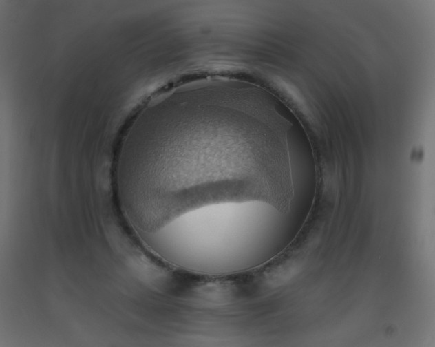 X0000093520447200710121548