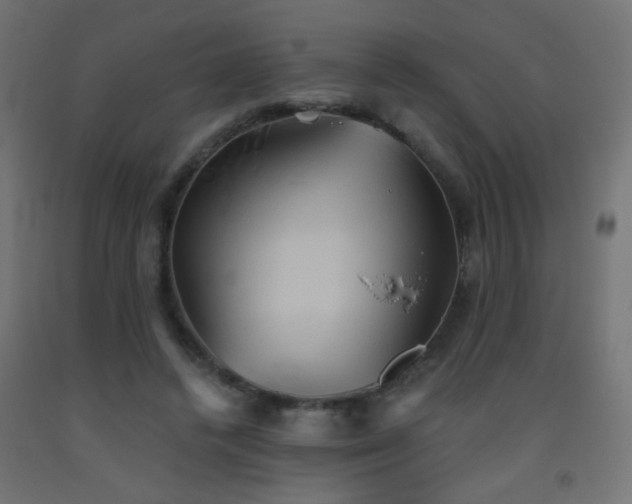 X0000093520448200710121548