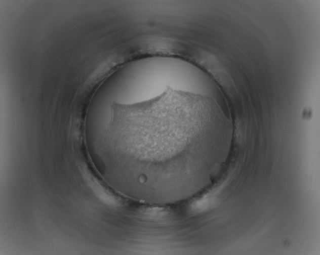 X0000093520449200710121548