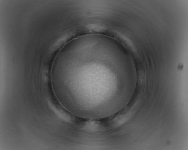 X0000093520451200710121548