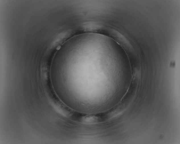 X0000093520452200710121548