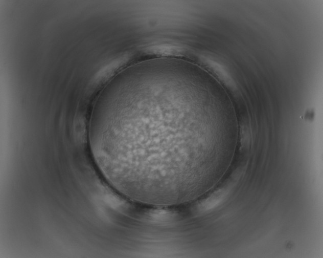 X0000093520453200710121548