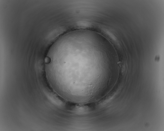 X0000093520455200710121548