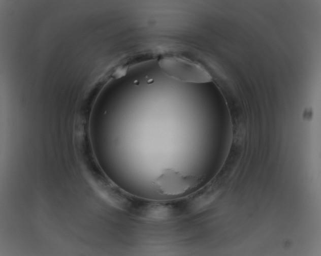 X0000093520456200710121548