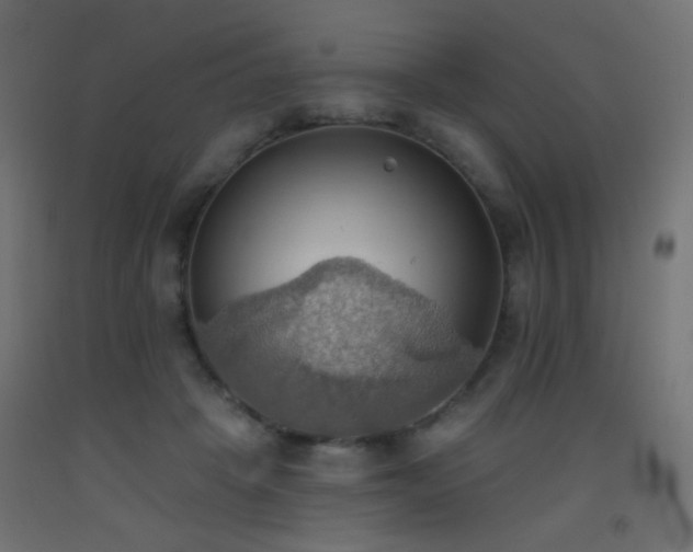 X0000093520457200710121548