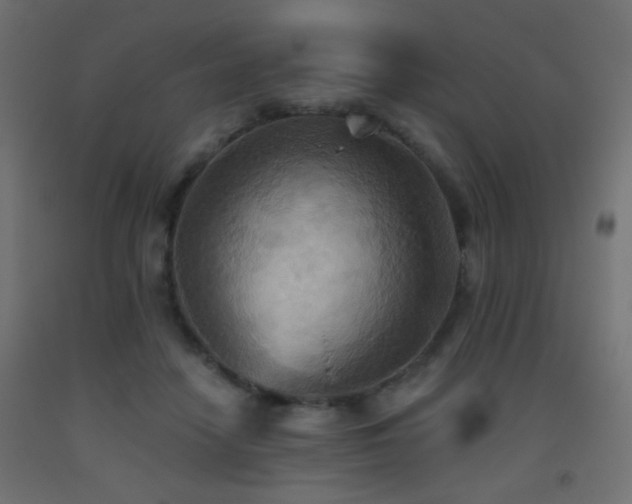 X0000093520458200710121548