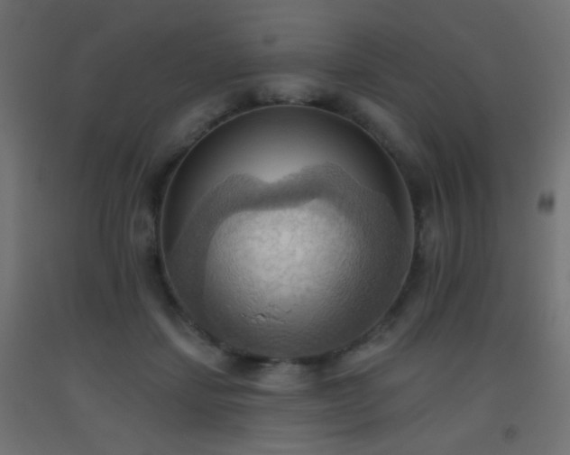 X0000093520459200710121548