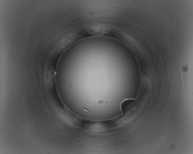 X0000093520460200710121548