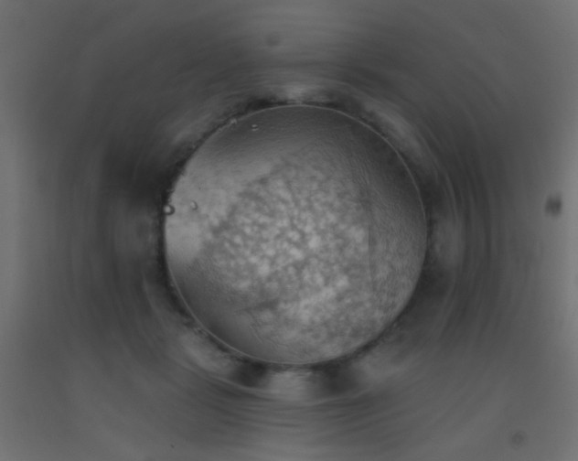 X0000093520461200710121548