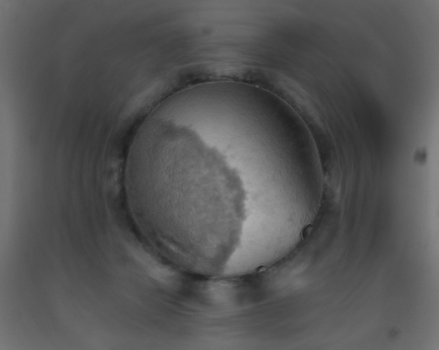 X0000093520462200710121548