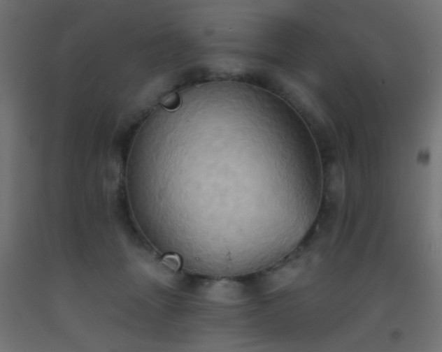 X0000093520463200710121548