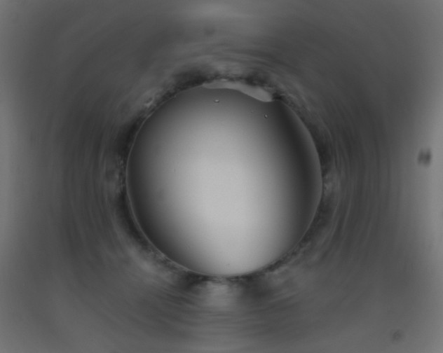 X0000093520464200710121548