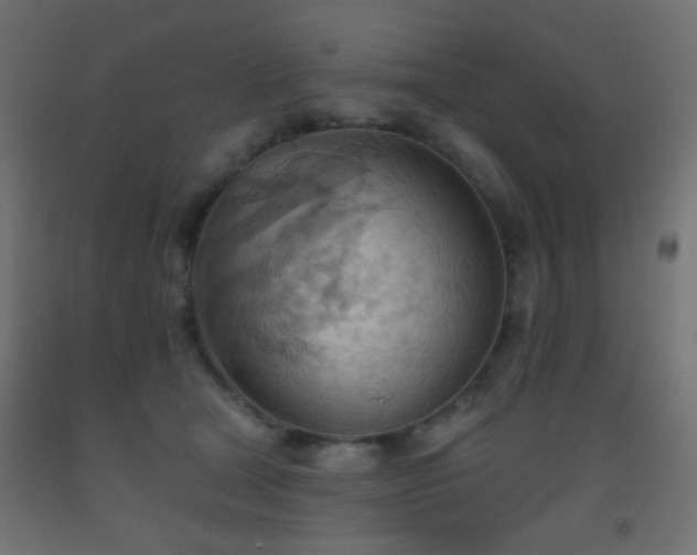 X0000093520465200710121548
