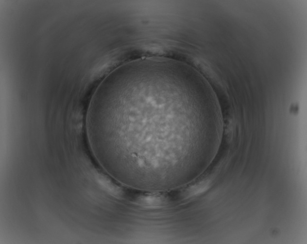 X0000093520466200710121548