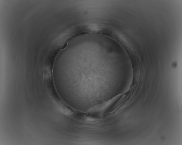 X0000093520467200710121548