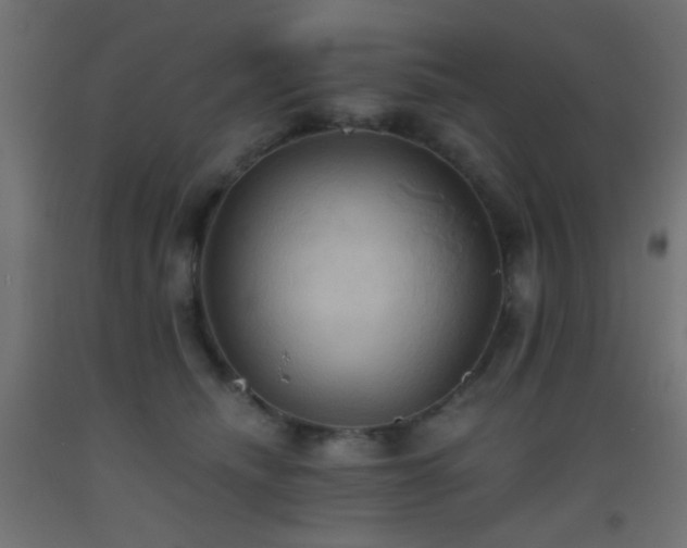 X0000093520468200710121548