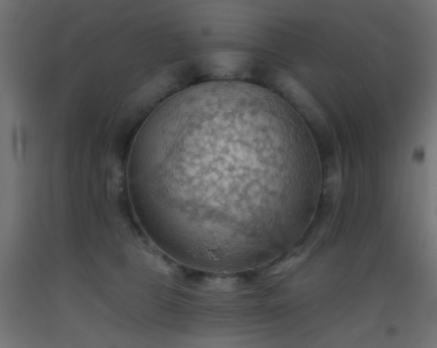 X0000093520469200710121548