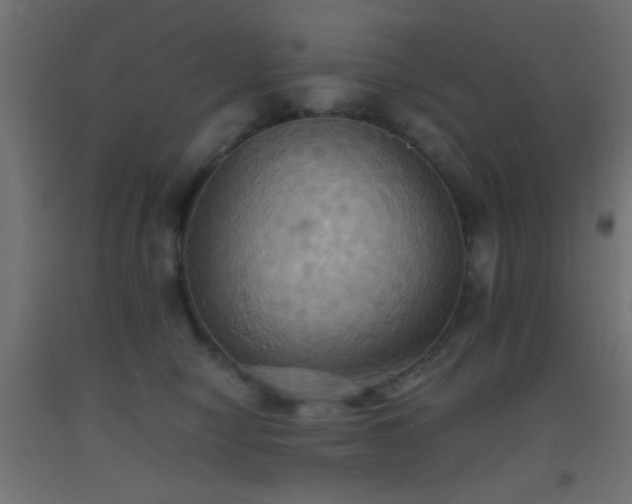 X0000093520470200710121548