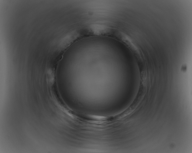 X0000093520471200710121548