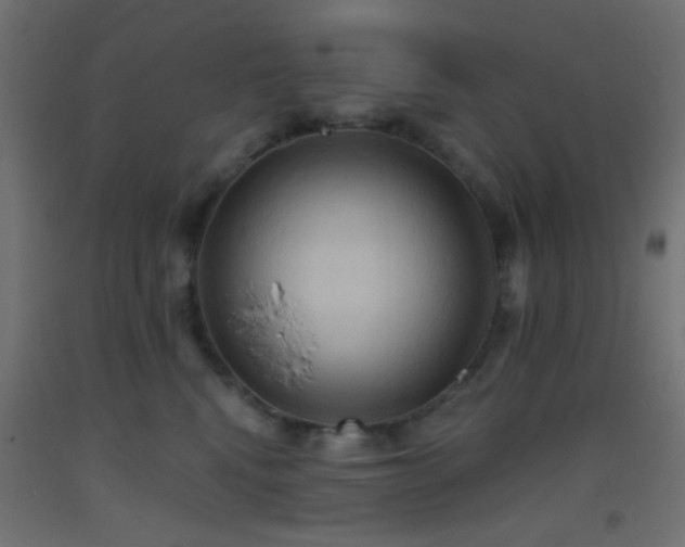 X0000093520472200710121548