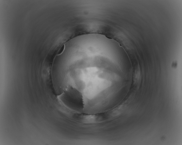 X0000093520473200710121548