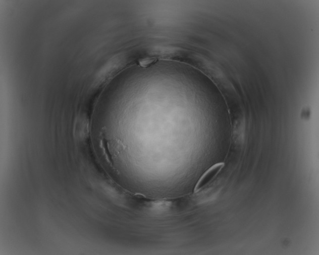 X0000093520474200710121548