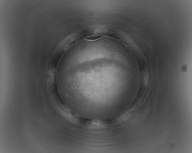 X0000093520475200710121548