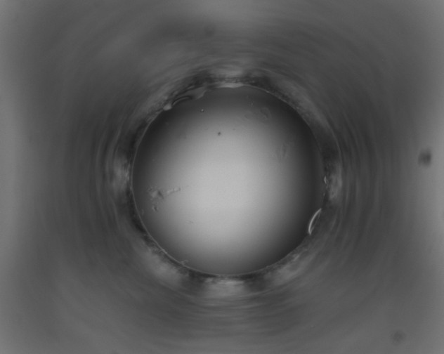 X0000093520476200710121548
