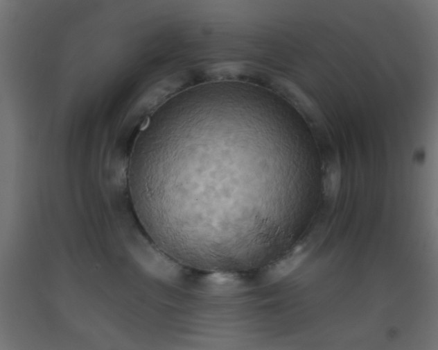 X0000093520477200710121548