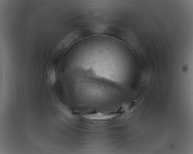 X0000093520479200710121548
