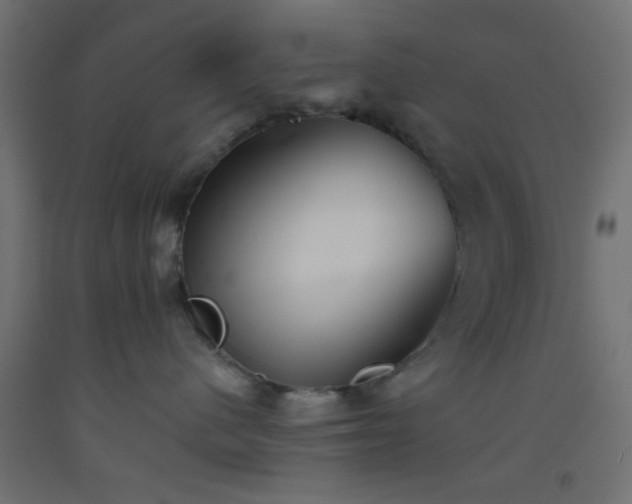 X0000093520480200710121548