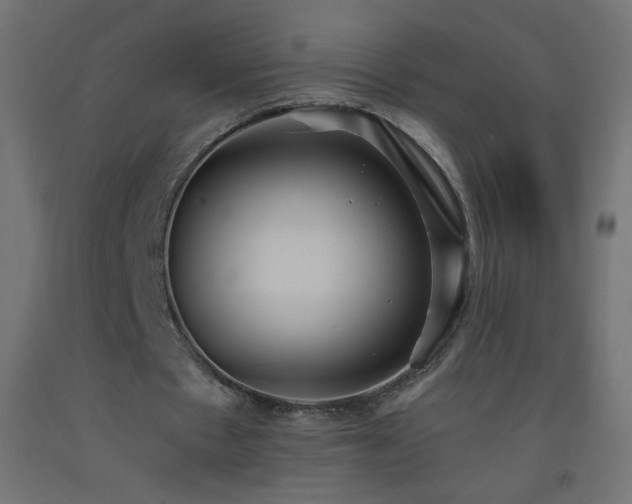 X0000093520481200710121548