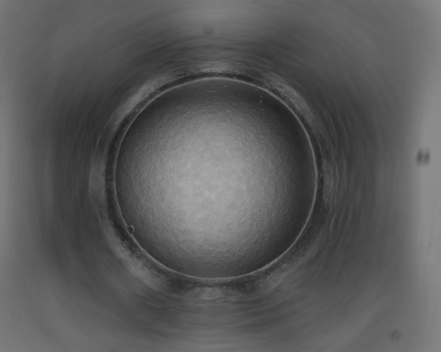X0000093520482200710121548