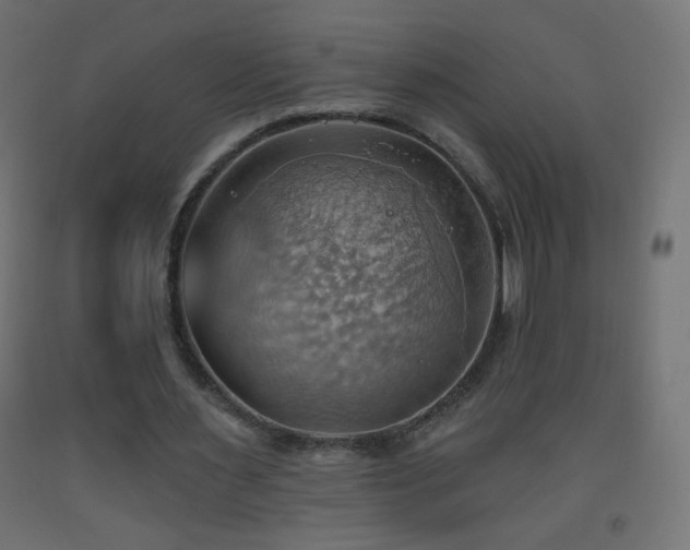 X0000093520483200710121548
