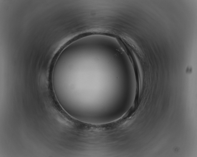 X0000093520484200710121548