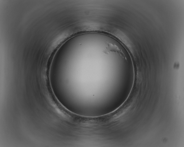 X0000093520485200710121548