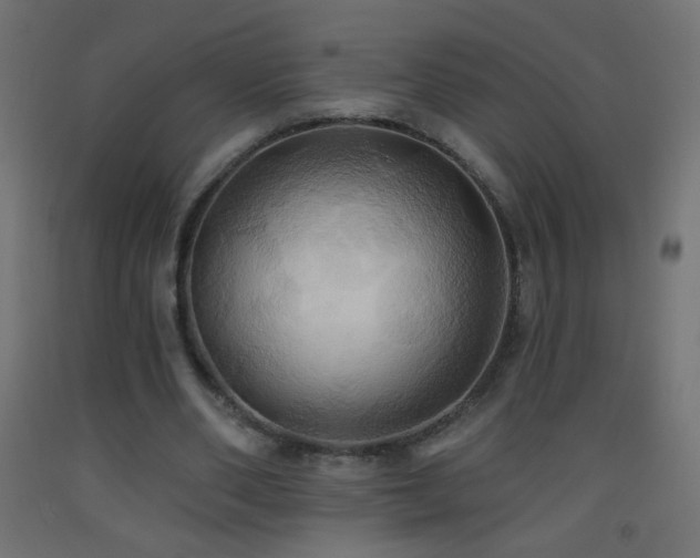 X0000093520486200710121548
