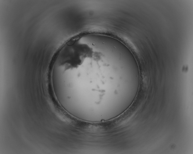 X0000093520487200710121548